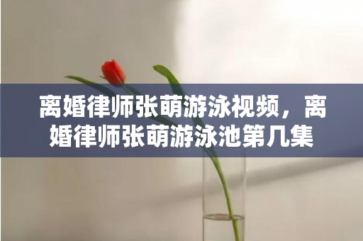 离婚律师张萌游泳视频，离婚律师张萌游泳池第几集