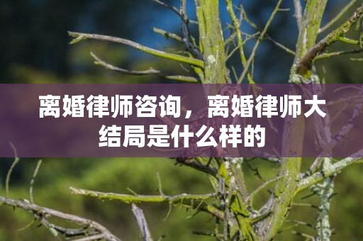 离婚律师咨询，离婚律师大结局是什么样的