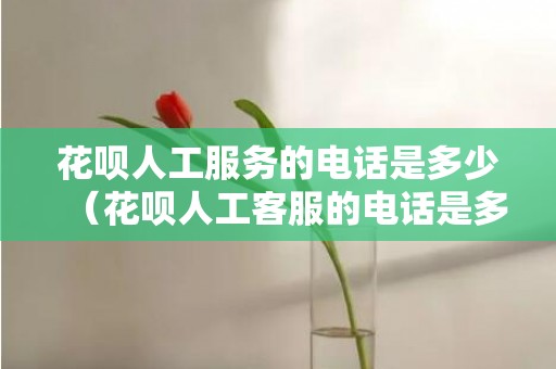 花呗人工服务的电话是多少（花呗人工客服的电话是多少）