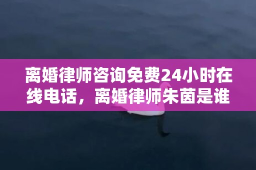 离婚律师咨询免费24小时在线电话，离婚律师朱茵是谁扮演的