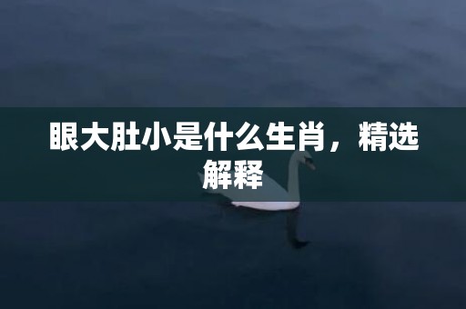 眼大肚小是什么生肖，精选解释