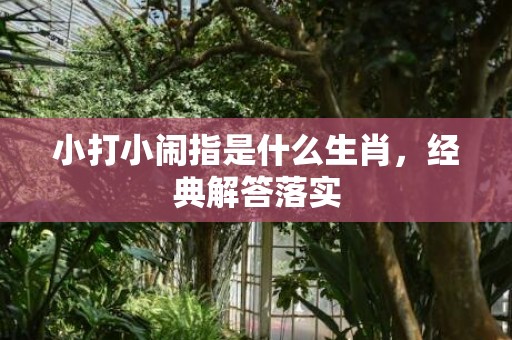 小打小闹指是什么生肖，经典解答落实