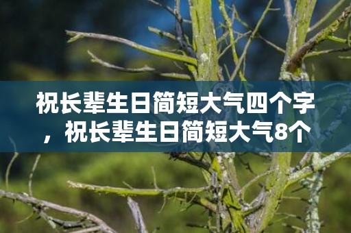 祝长辈生日简短大气四个字，祝长辈生日简短大气8个字