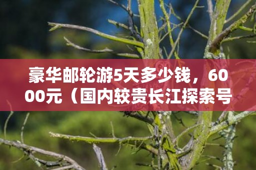 豪华邮轮游5天多少钱，6000元（国内较贵长江探索号）