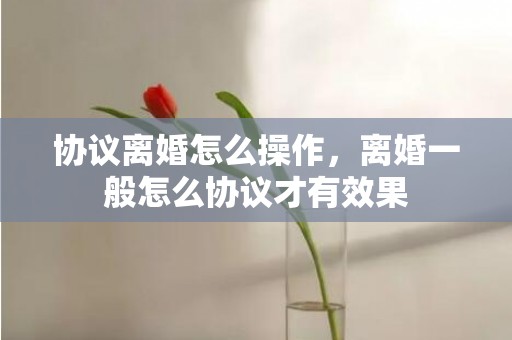 协议离婚怎么操作，离婚一般怎么协议才有效果