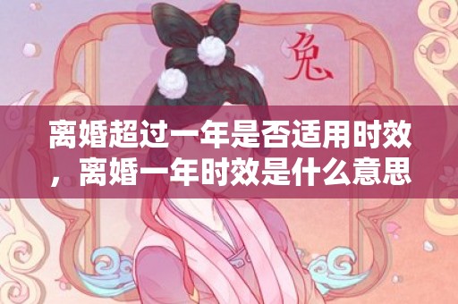 离婚超过一年是否适用时效，离婚一年时效是什么意思