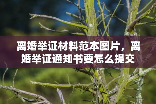 离婚举证材料范本图片，离婚举证通知书要怎么提交