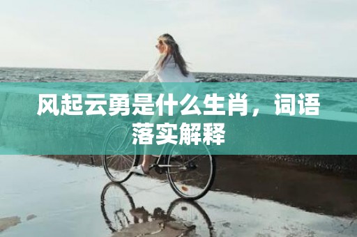 风起云勇是什么生肖，词语落实解释