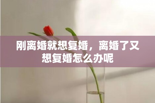 刚离婚就想复婚，离婚了又想复婚怎么办呢