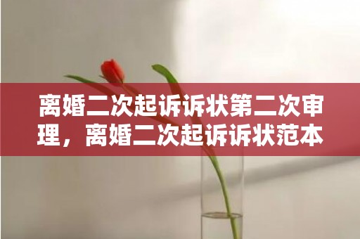 离婚二次起诉诉状第二次审理，离婚二次起诉诉状范本模板