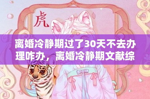 离婚冷静期过了30天不去办理咋办，离婚冷静期文献综述范文