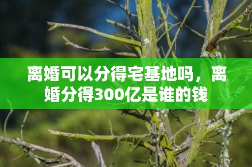 离婚可以分得宅基地吗，离婚分得300亿是谁的钱