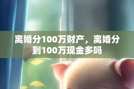 离婚分100万财产，离婚分到100万现金多吗