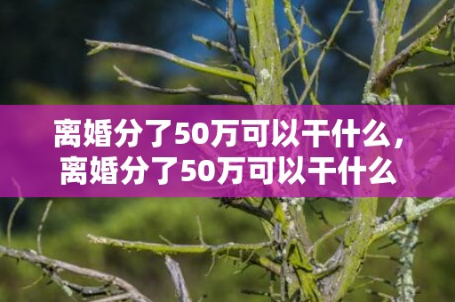 离婚分了50万可以干什么，离婚分了50万可以干什么