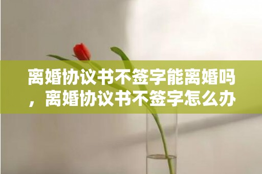 离婚协议书不签字能离婚吗，离婚协议书不签字怎么办