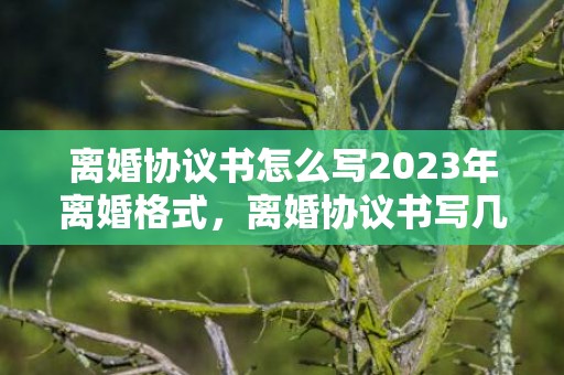 离婚协议书怎么写2023年离婚格式，离婚协议书写几张有效