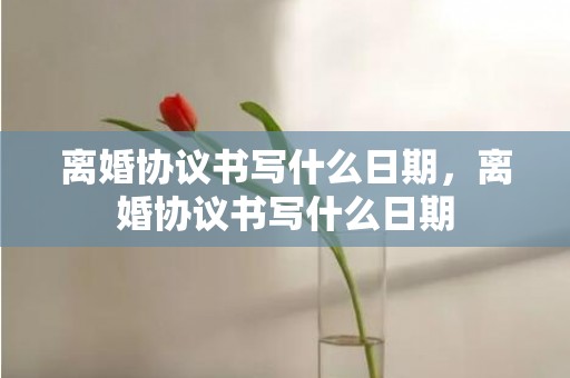 离婚协议书写什么日期，离婚协议书写什么日期