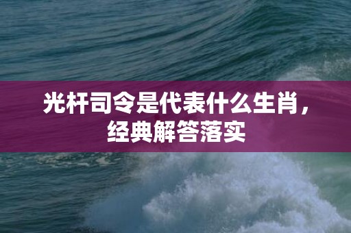 光杆司令是代表什么生肖，经典解答落实