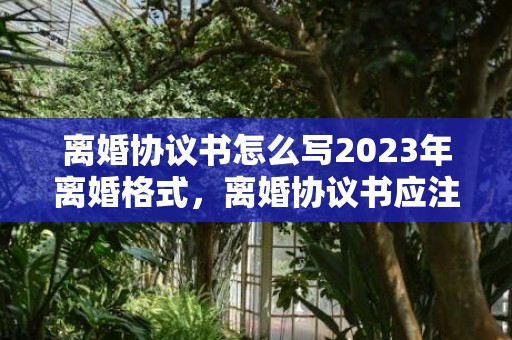 离婚协议书怎么写2023年离婚格式，离婚协议书应注意哪些