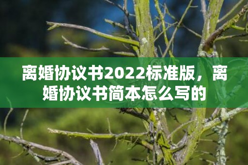 离婚协议书2022标准版，离婚协议书简本怎么写的