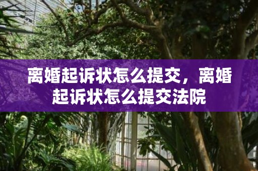 离婚起诉状怎么提交，离婚起诉状怎么提交法院