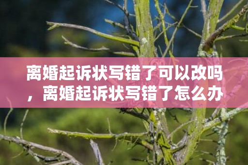 离婚起诉状写错了可以改吗，离婚起诉状写错了怎么办