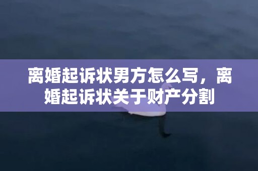 离婚起诉状男方怎么写，离婚起诉状关于财产分割