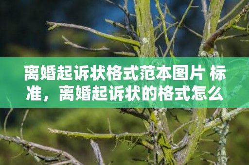 离婚起诉状格式范本图片 标准，离婚起诉状的格式怎么填写