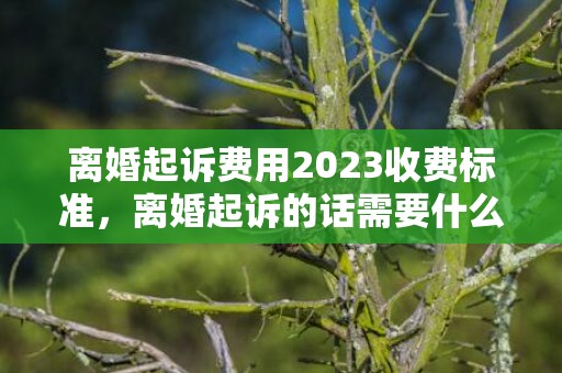 离婚起诉费用2023收费标准，离婚起诉的话需要什么证据