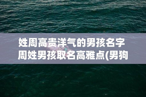 姓周高贵洋气的男孩名字 周姓男孩取名高雅点(男狗狗高贵洋气的名字)