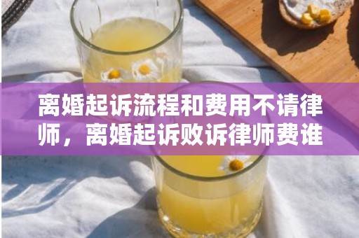 离婚起诉流程和费用不请律师，离婚起诉败诉律师费谁付