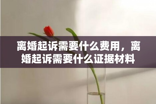 离婚起诉需要什么费用，离婚起诉需要什么证据材料