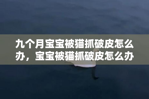 九个月宝宝被猫抓破皮怎么办，宝宝被猫抓破皮怎么办