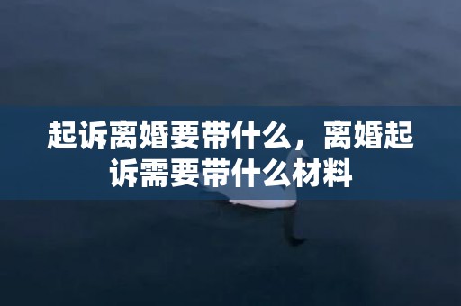 起诉离婚要带什么，离婚起诉需要带什么材料