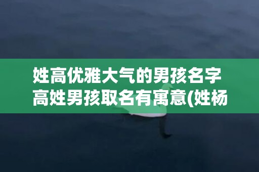 姓高优雅大气的男孩名字 高姓男孩取名有寓意(姓杨网名优雅大气)