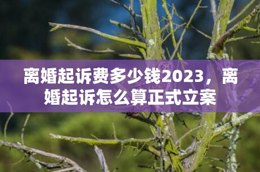 离婚起诉费多少钱2023，离婚起诉怎么算正式立案