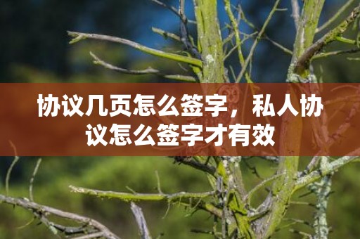 协议几页怎么签字，私人协议怎么签字才有效