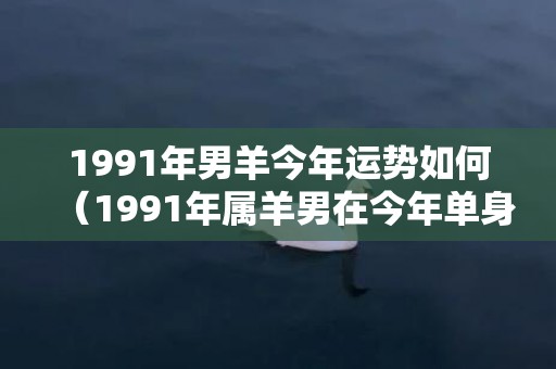 1991年男羊今年运势如何（1991年属羊男在今年单身的人运势平稳1991年属羊男人的全...）