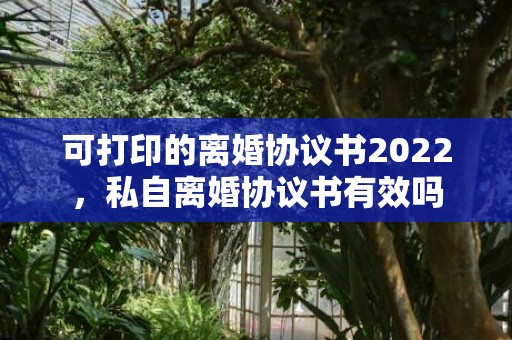 可打印的离婚协议书2022，私自离婚协议书有效吗