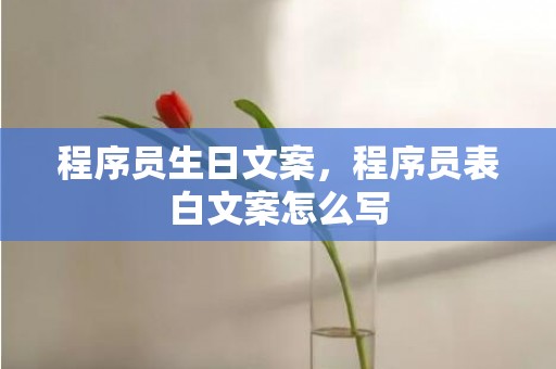 程序员生日文案，程序员表白文案怎么写