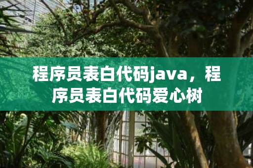 程序员表白代码java，程序员表白代码爱心树