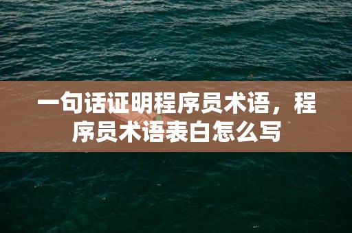 一句话证明程序员术语，程序员术语表白怎么写