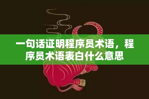 一句话证明程序员术语，程序员术语表白什么意思