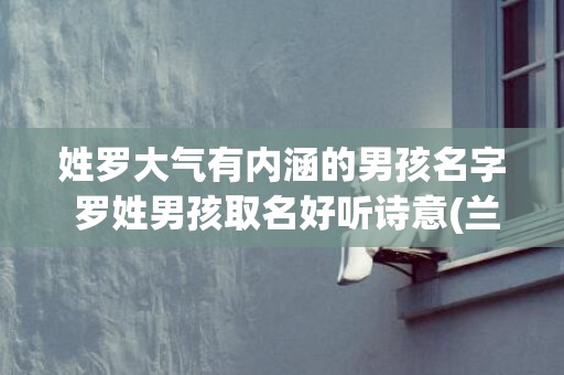 姓罗大气有内涵的男孩名字 罗姓男孩取名好听诗意(兰姓又大气有内涵的名字)