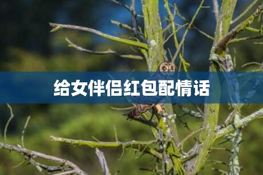 给女伴侣红包配情话