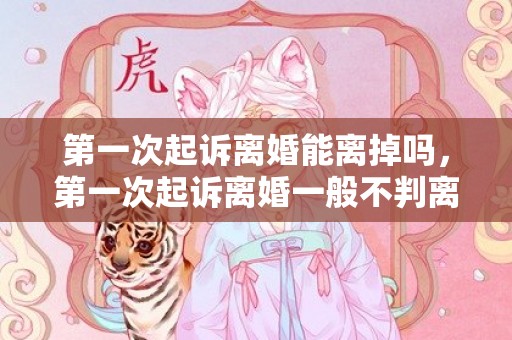 第一次起诉离婚能离掉吗，第一次起诉离婚一般不判离