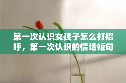 第一次认识女孩子怎么打招呼，第一次认识的情话短句