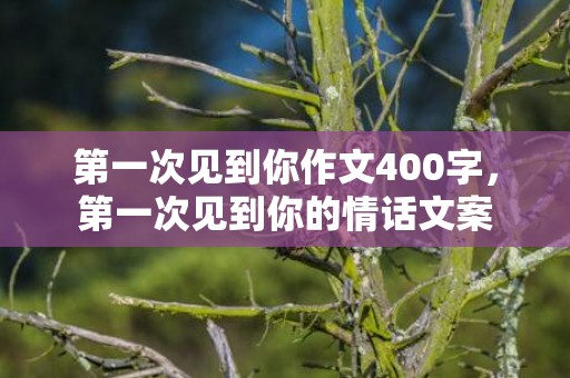 第一次见到你作文400字，第一次见到你的情话文案