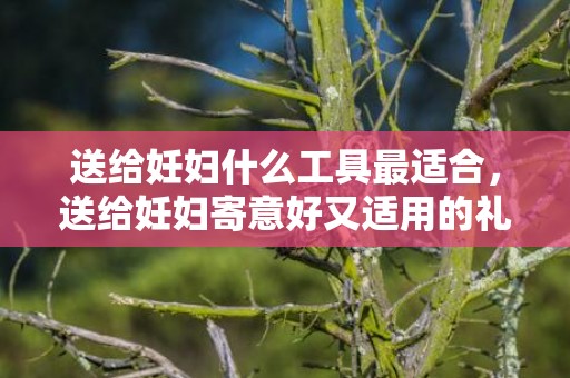 送给妊妇什么工具最适合，送给妊妇寄意好又适用的礼品