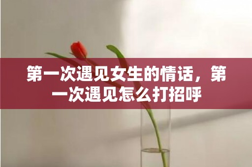 第一次遇见女生的情话，第一次遇见怎么打招呼